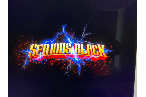 Hooded Zip Tour Skull  